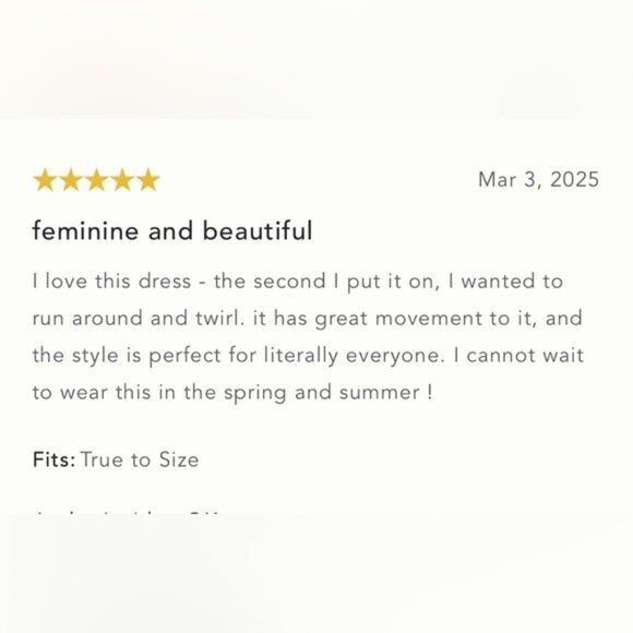 NWT Size L -Anthropologie Sleeveless V-Neck Lace Slip Midi Dress (NWT US$ 178) - Picture 13 of 17